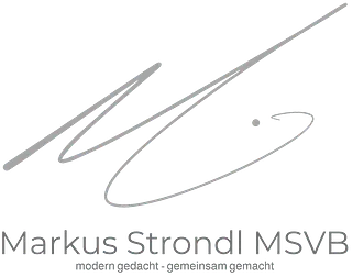 Markus Strondl MSVB Fivoinvest eU Logo